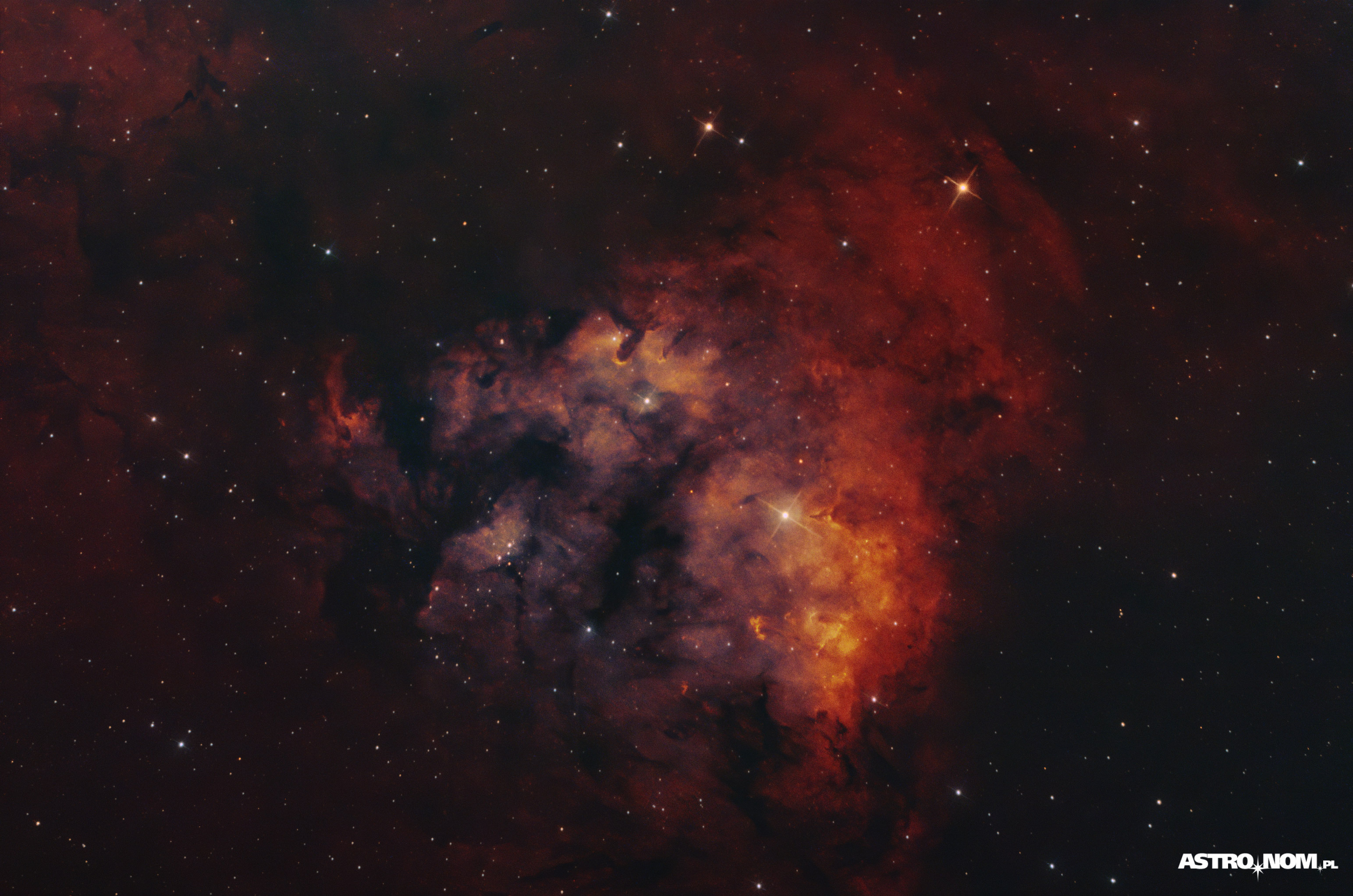 NGC 7822 – Głowa Diabła