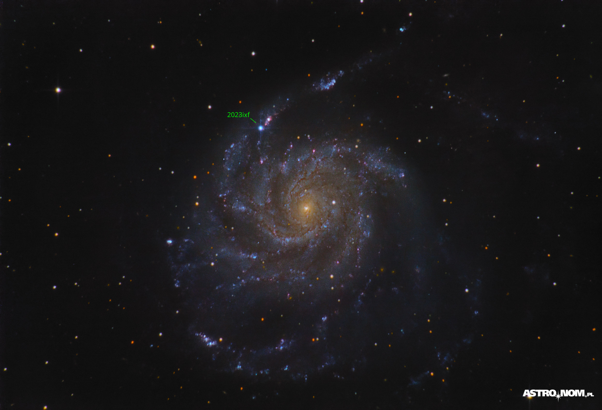 2023ixf w M101